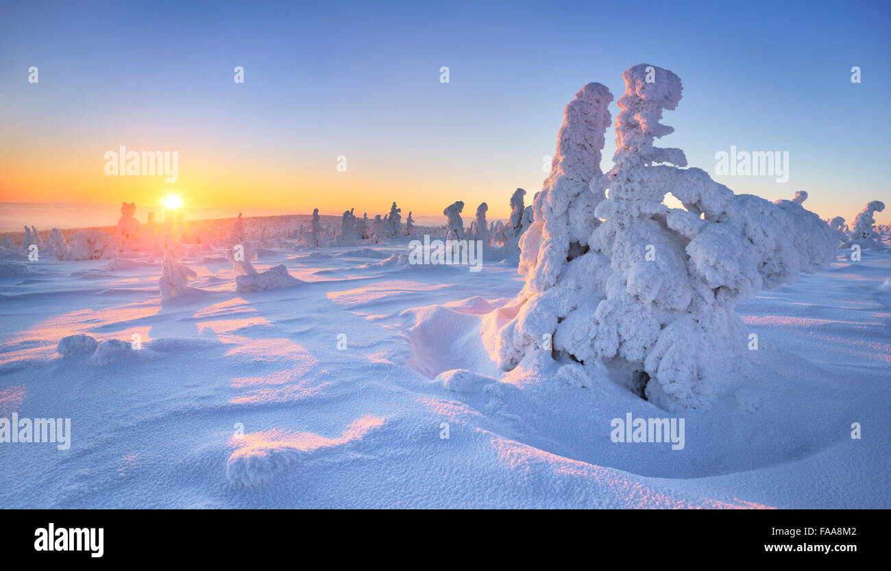 Paysage d'hiver avec le coucher du soleil dans un arrière-plan, les montagnes de Karkonosze, Pologne Banque D'Images