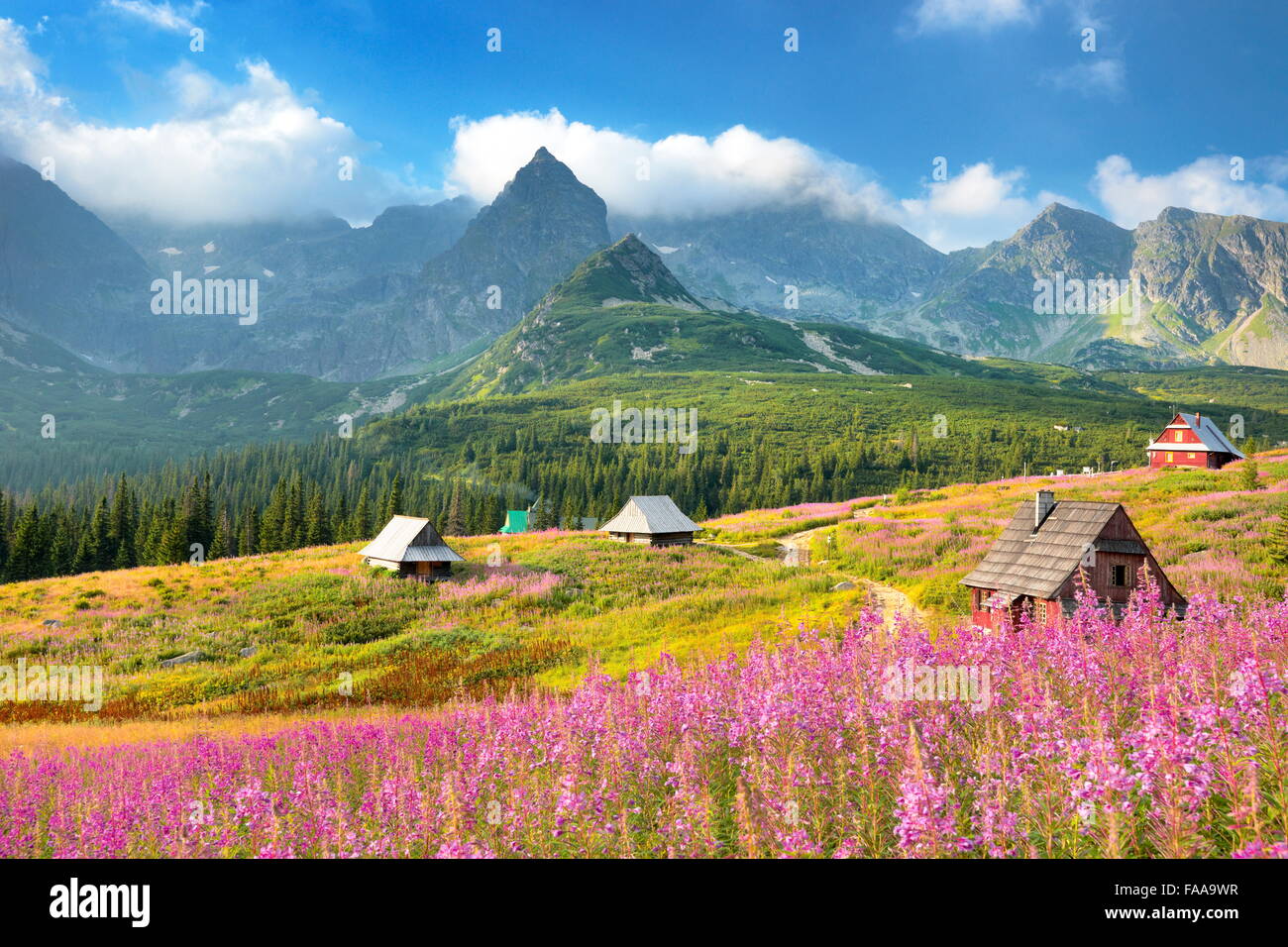 Vallée gąsienicowa, Tatras, Polan Banque D'Images