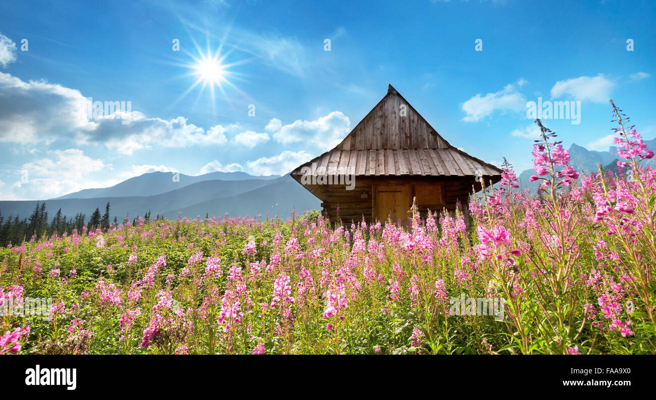 Vallée gąsienicowa, Tatras, Pologne Banque D'Images