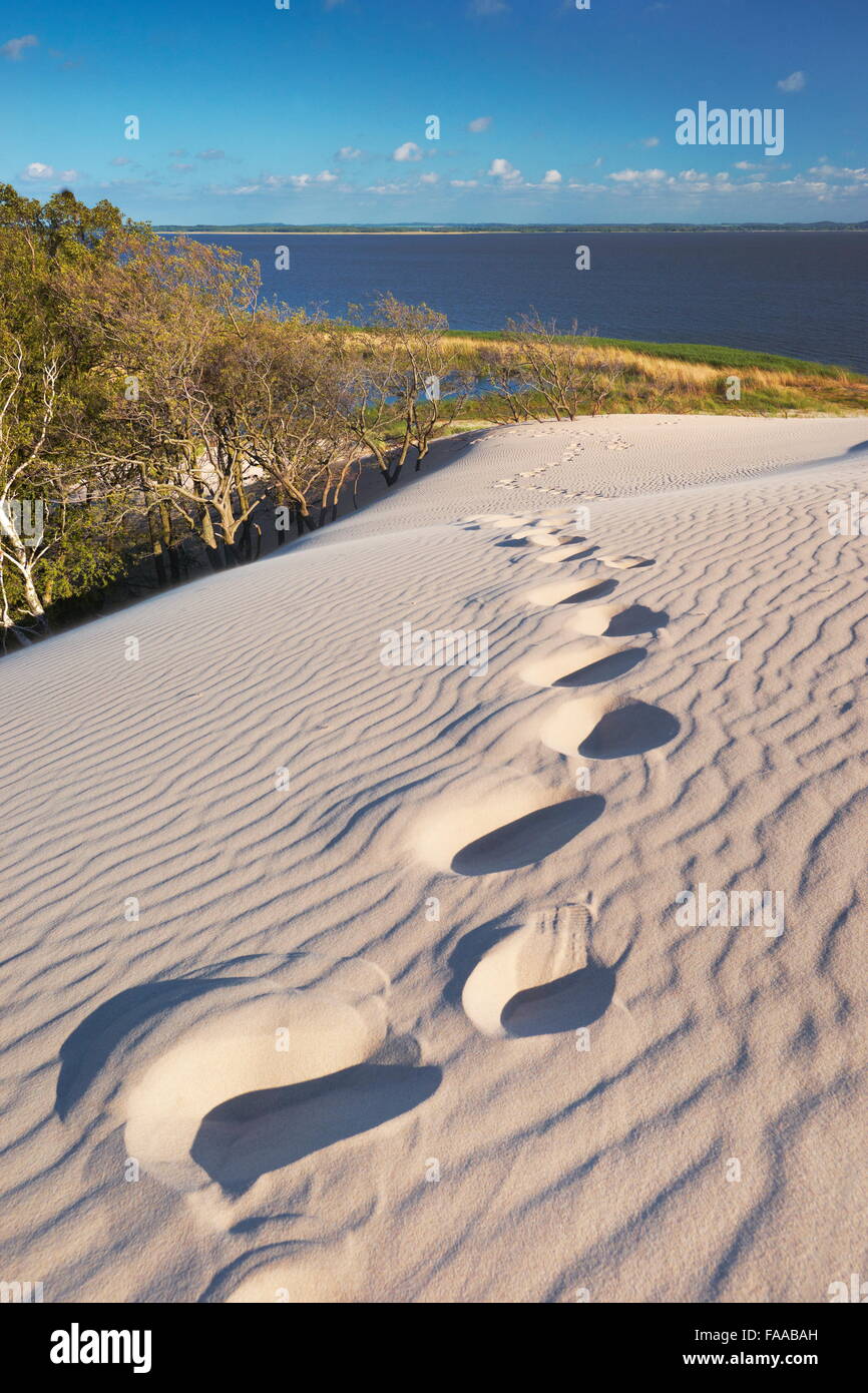 Leba - dunes ameuhsante dans le Parc National Slowinski, Poméranie, Pologne Banque D'Images