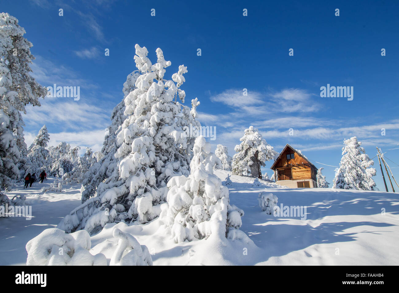 L'hiver Banque D'Images