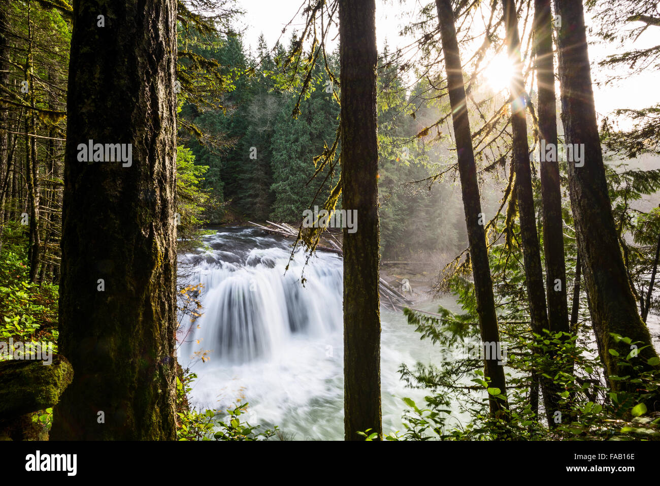 Abaisser Lewis River Falls dans l'État de Washington. Banque D'Images