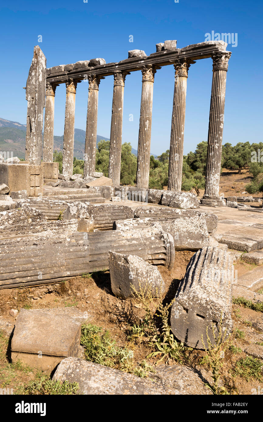 Composition verticale des colonnes de l'ancien temple de Zeus à Euromos Banque D'Images