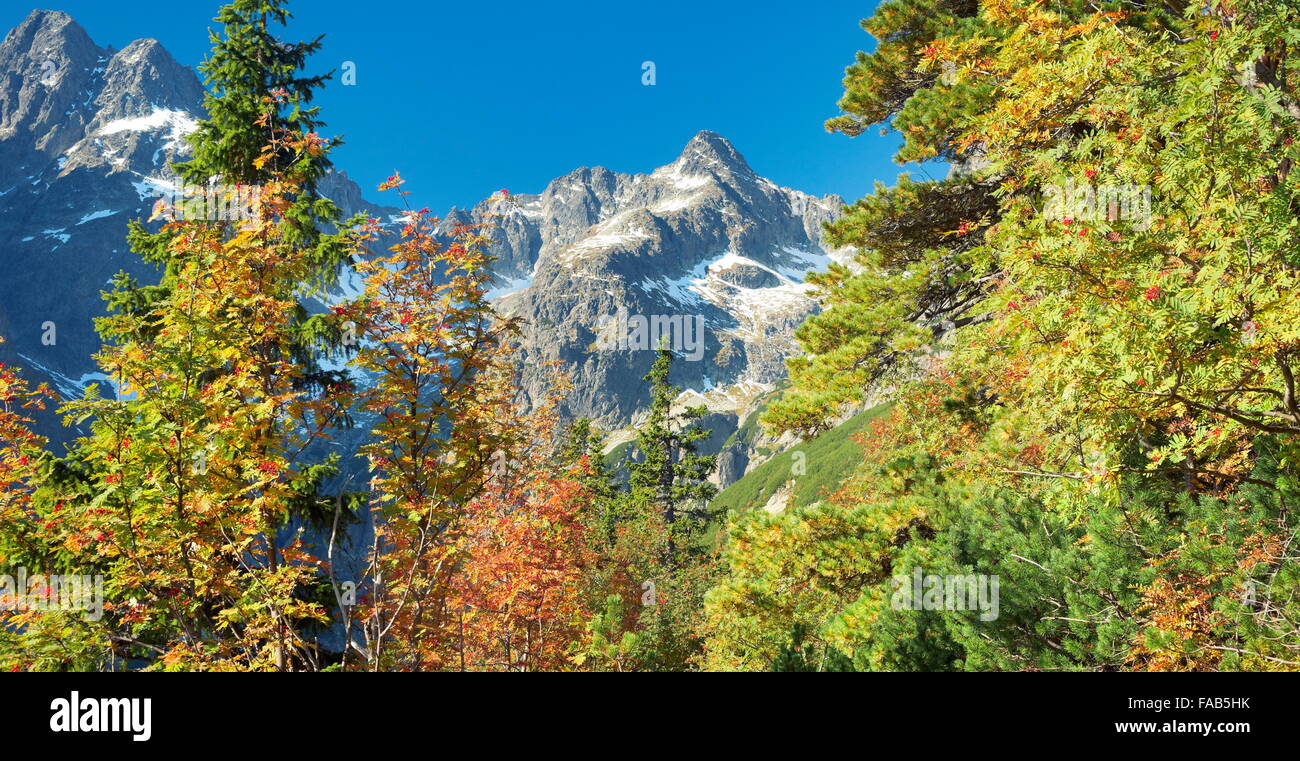 Automne dans les montagnes de Tatra, Slovaquie Banque D'Images