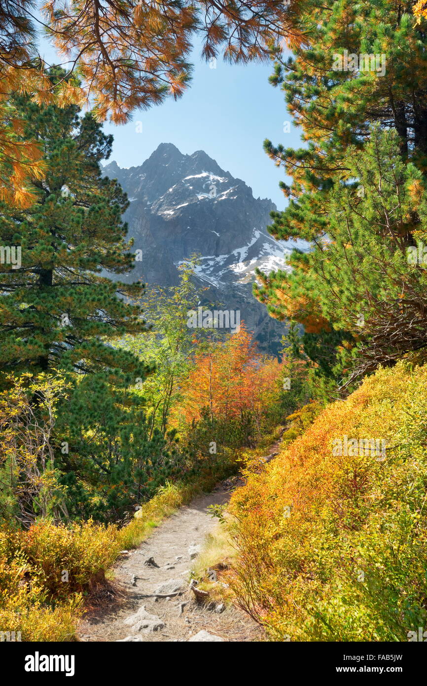 Automne dans la vallée de Kiezmarska, montagnes Tatra, Slovaquie Banque D'Images