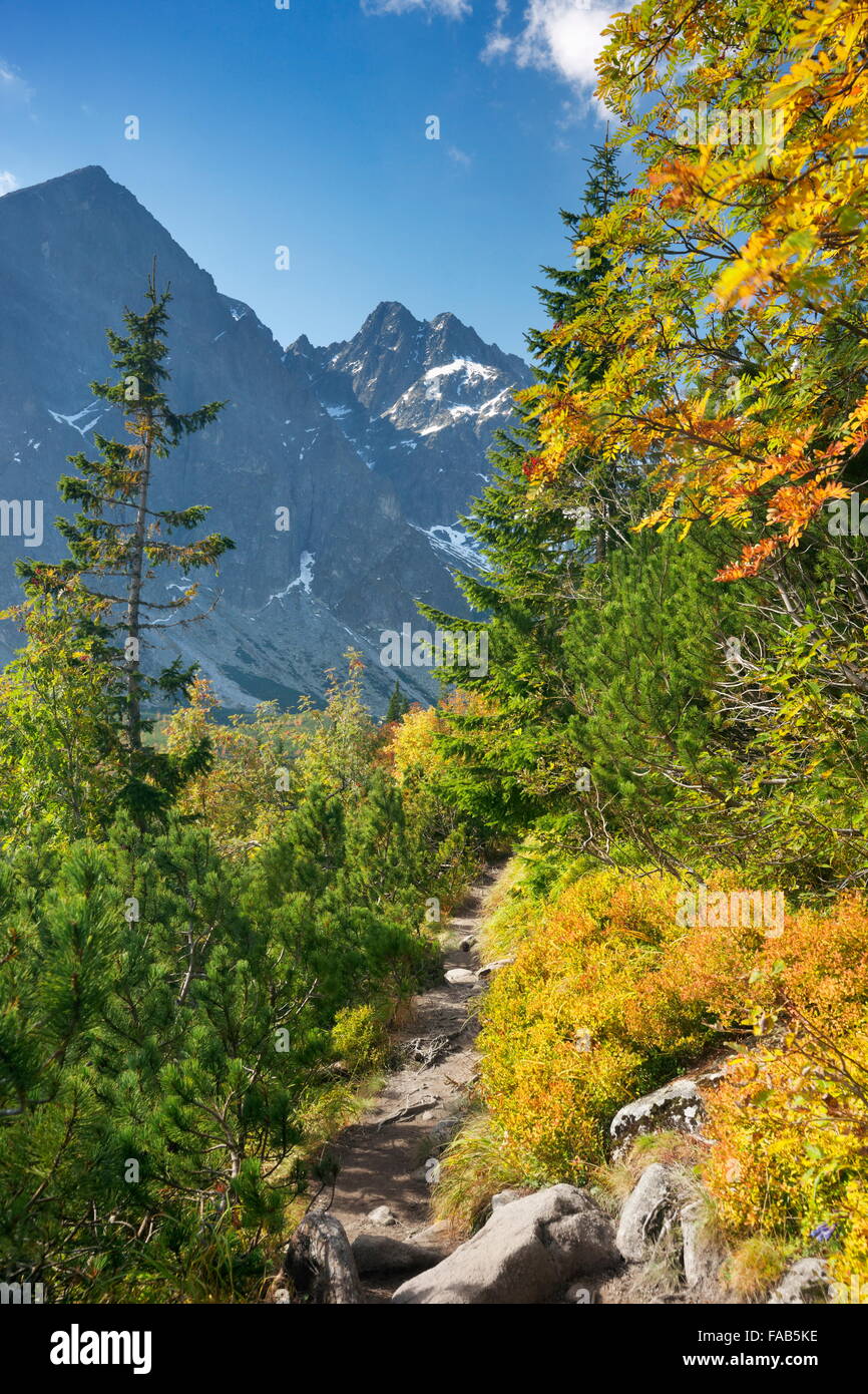 Automne dans la vallée de Kiezmarska, montagnes Tatra, Slovaquie Banque D'Images