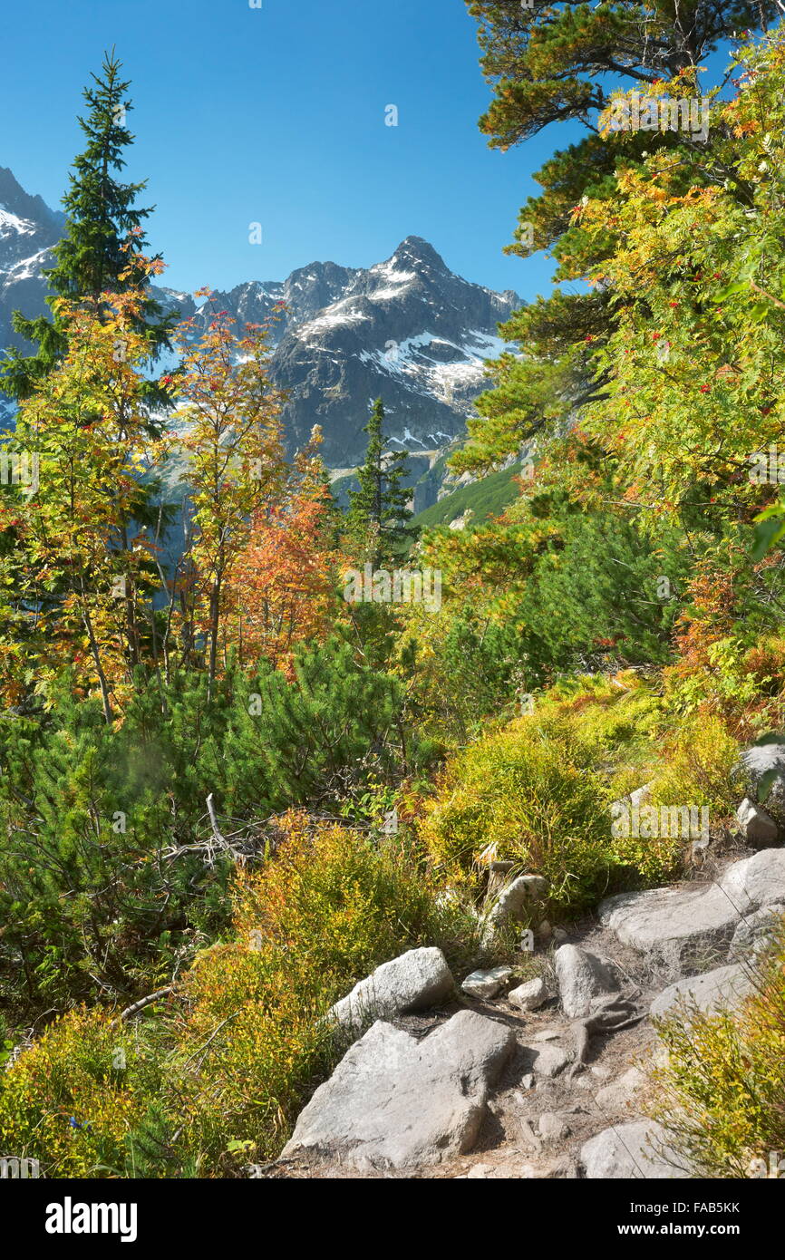 Automne dans la vallée de Kiezmarska, montagnes Tatra, Slovaquie Banque D'Images