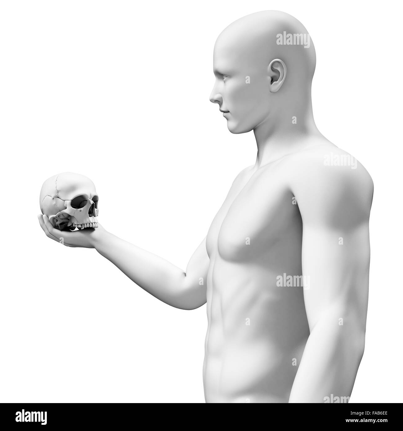 Personne tenant un crâne humain, illustration de l'ordinateur. Banque D'Images