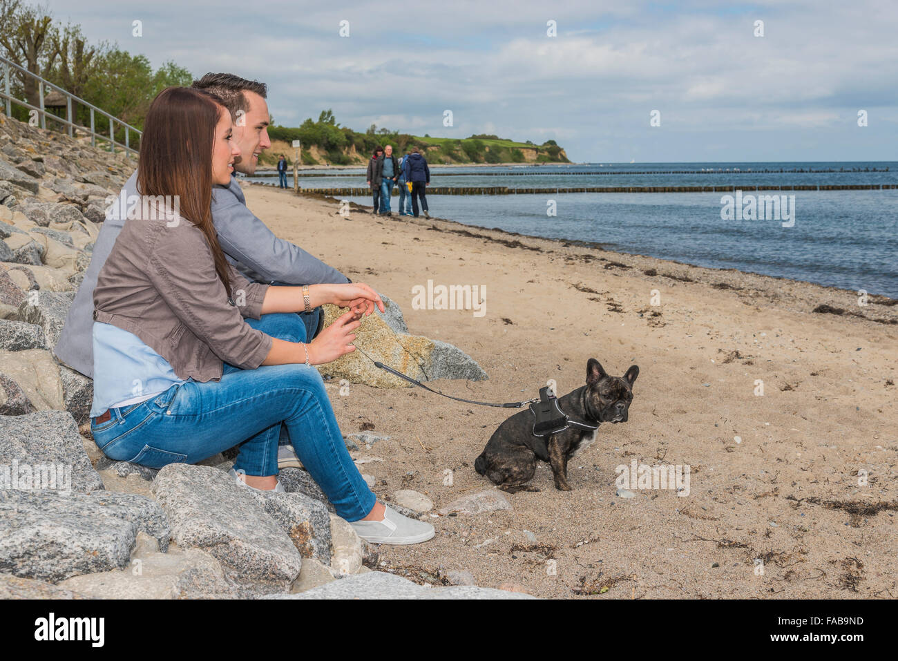 Couple de 25 à 30, l'âge, à la plage avec chien Banque D'Images