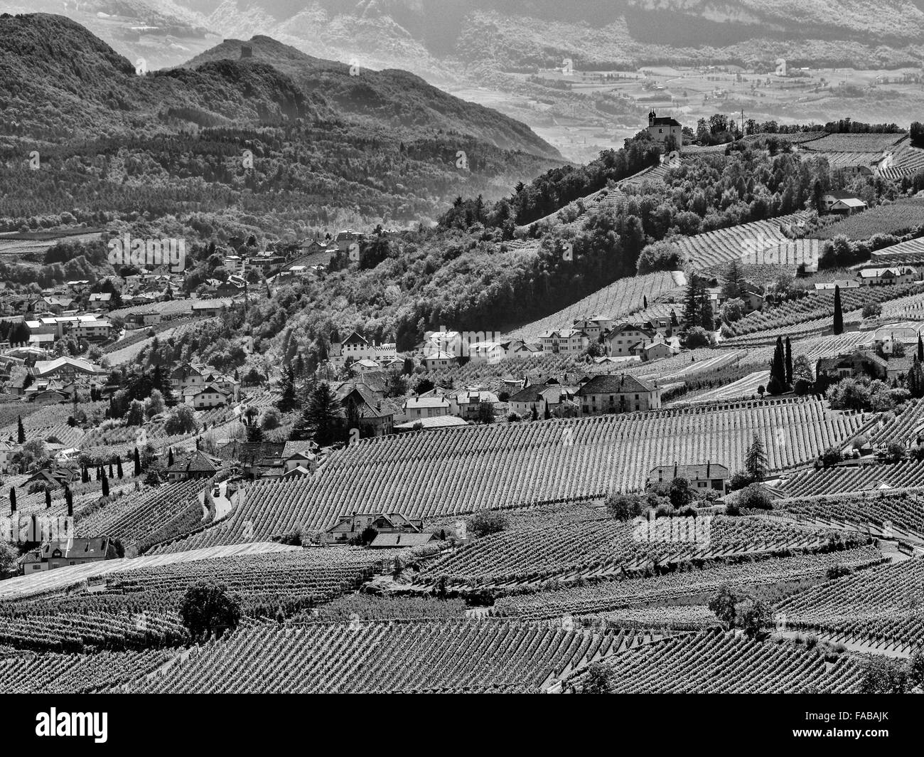 L'agriculture et de vignobles dans la vallée Etschtal au Tyrol du Sud, dans le Nord de l'Italie Banque D'Images