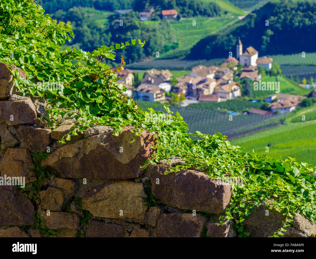 L'agriculture et de vignobles dans la vallée Etschtal au Tyrol du Sud, dans le Nord de l'Italie Banque D'Images