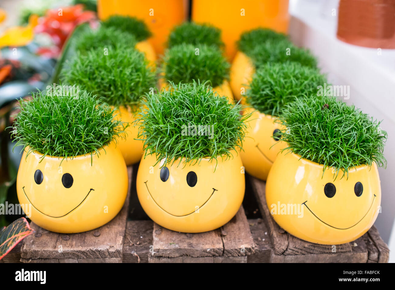 Pots de jaune avec des smileys et que les cheveux de l'herbe verte Banque D'Images Pots de jaune avec des smileys et que les cheveux de l'herbe verte Banque D'Images