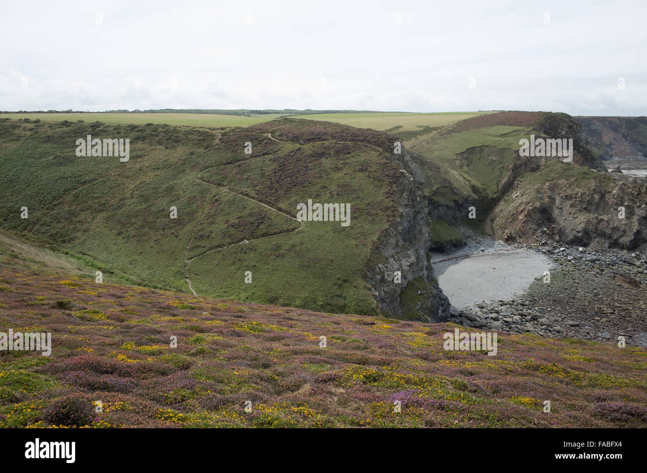 Chemin de la côte nord des Cornouailles de Portreath, falaises du nord. Banque D'Images