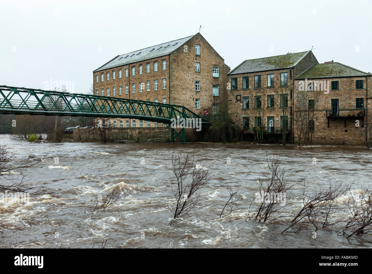 Fleuve Tees, Barnard Castle, Teesdale, County Durham, le 26 décembre 2015. Météo britannique. La Rivière Tees coule sous la passerelle verte dans la région de Barnard Castle après les fortes pluies de la nuit a laissé de nombreuses rivières du nord de l'Angleterre au niveau des crues. Banque D'Images