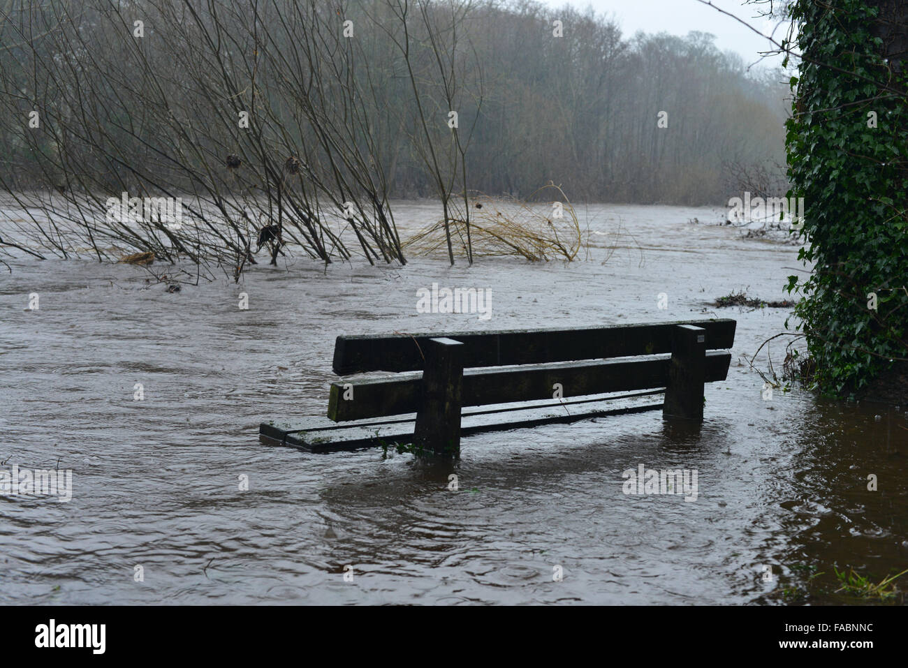 26 décembre 2015. Gainford, comté de Durham, Royaume-Uni. Un banc est partiellement submergé après la Rivière Tees est gonflé après de fortes pluies persistantes et à l'échelle de Teesdale County Durham le lendemain. Des inondations graves avertissements ont été émis pour de nombreuses régions du Royaume-Uni. Crédit : Robert Smith/Alamy Live News Banque D'Images