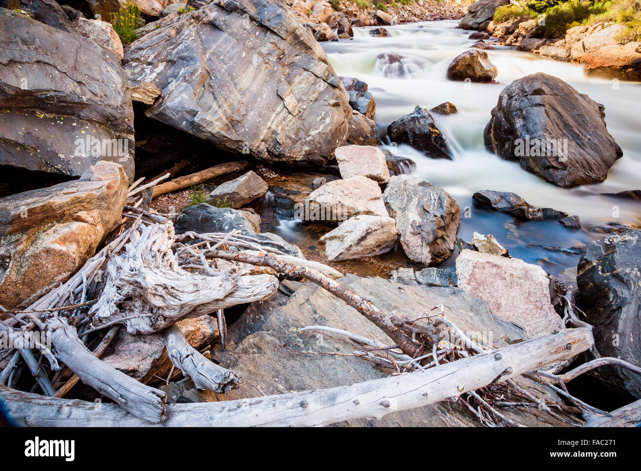 L'eau circulant dans le rapide de la Poudre Cache River dans la forêt nationale Roosevelt près de rustique, Colorado. Banque D'Images
