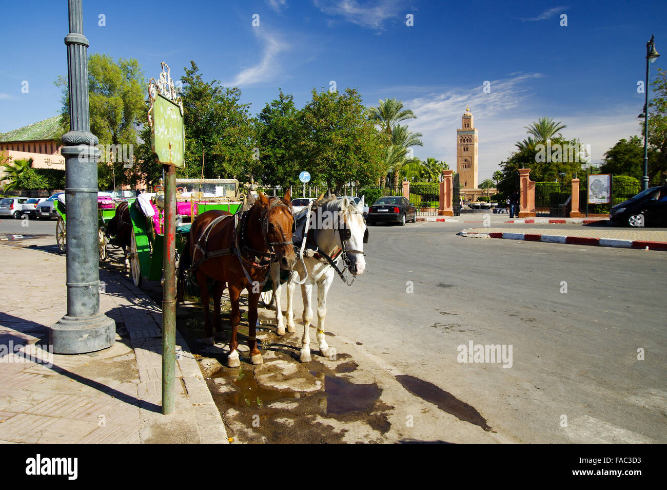 Transport de chevaux en attente à l'entrée du parc Lalla Hasna - Marrakech, Maroc Banque D'Images