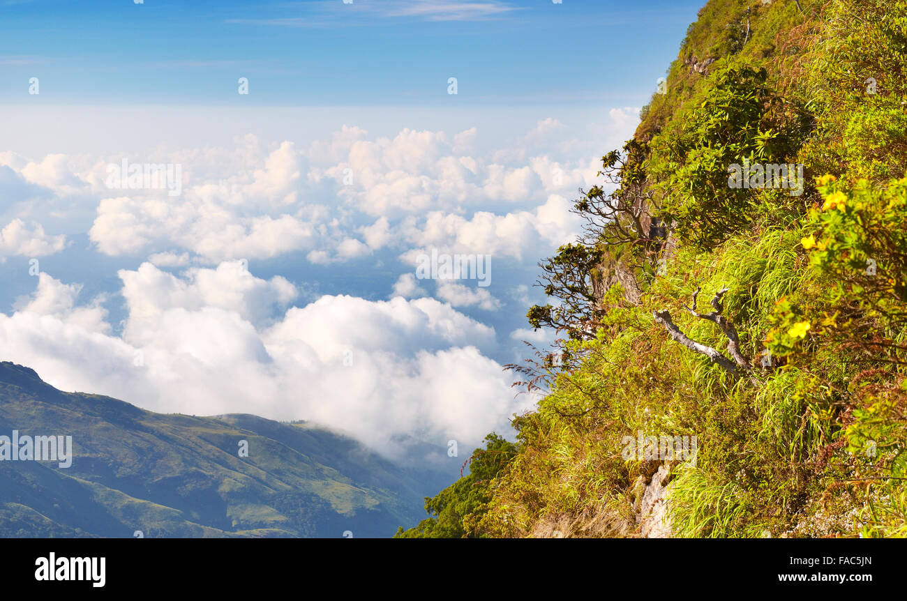 Sri Lanka - paysage, Horton Plain National Park, vue à partir de la 'Fin du Monde' Banque D'Images