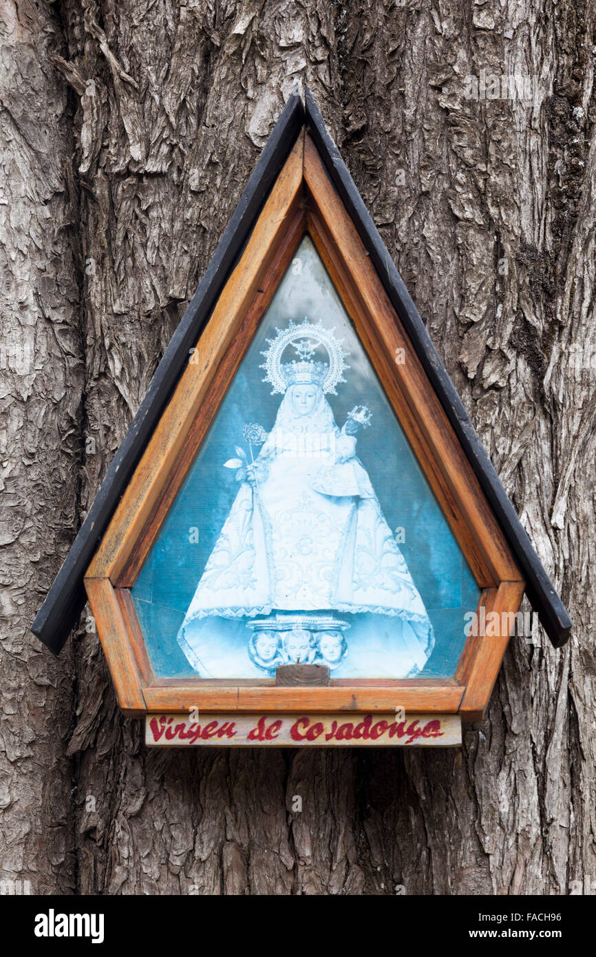 Plaque à la Vierge sur la péninsule de Quetrihué, Parc National de Los Arrayanes, près de Bariloche, Argentine Banque D'Images