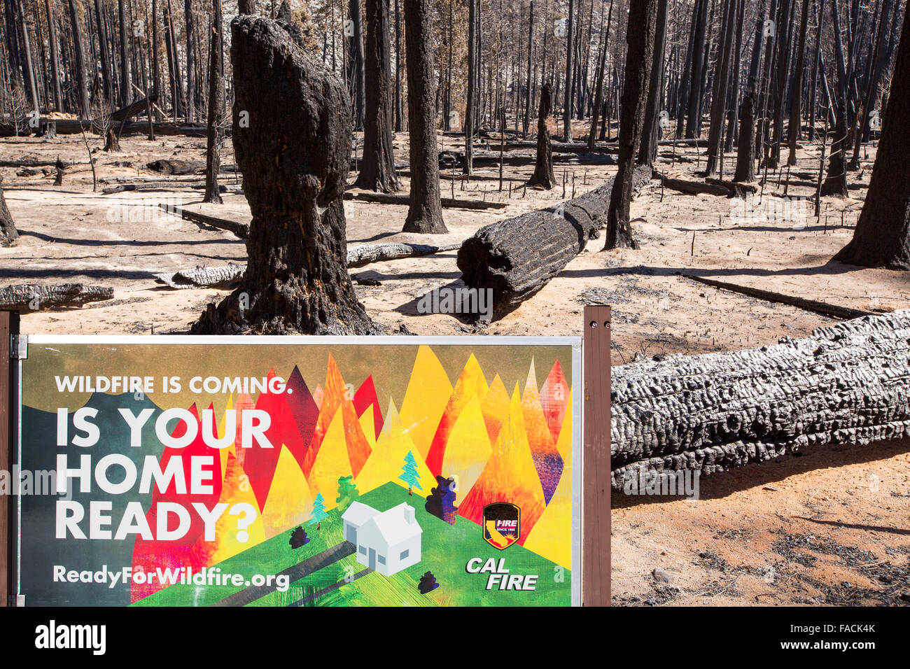 Un feu de forêt détruit une zone de forêt dans la petite vallée de Yosemite dans le Yosemite National Park, California, USA. À la suite Banque D'Images