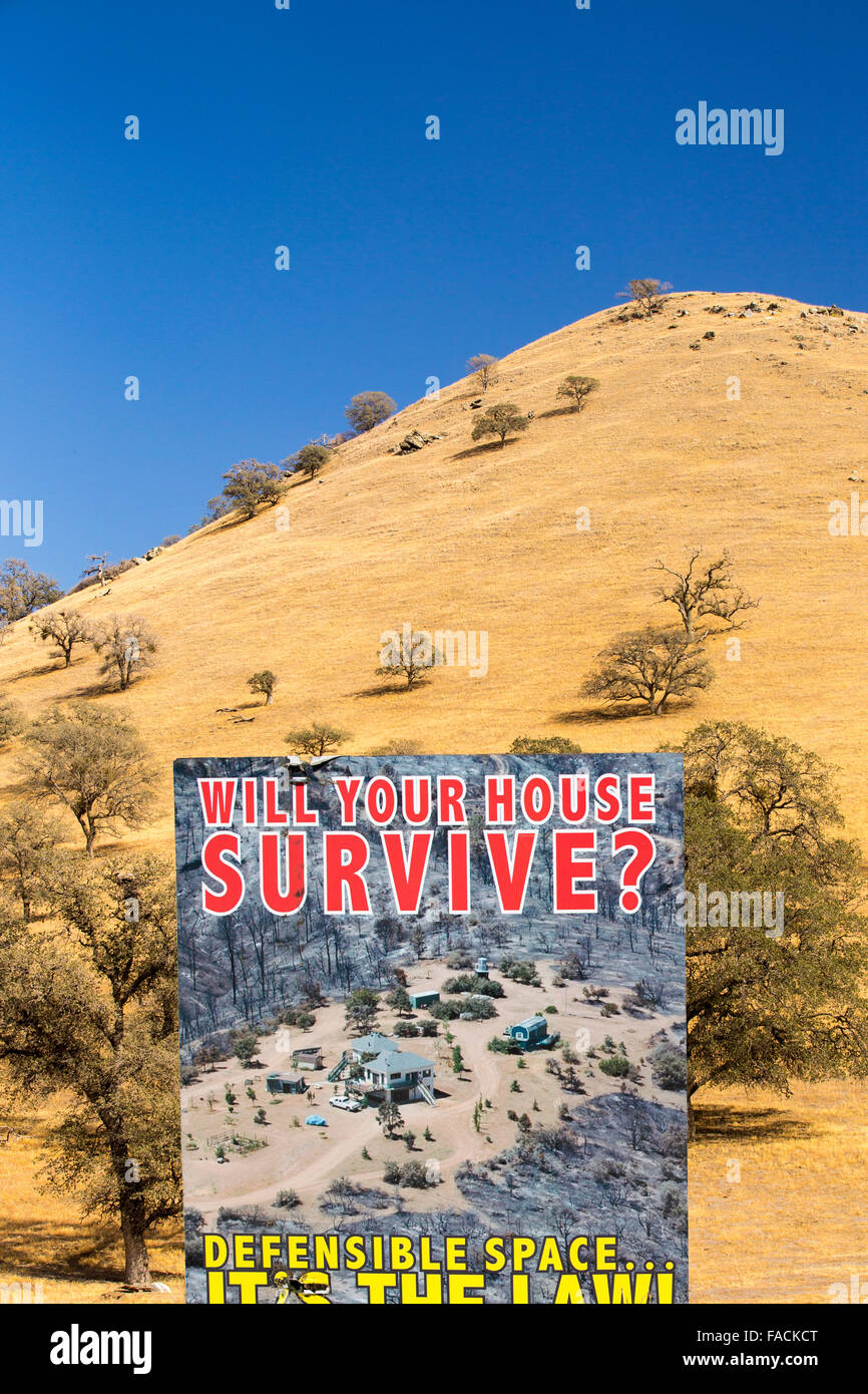 La sécheresse a tué des arbres près de Tehachapi Pass, in California's quatre l'année de la sécheresse, USA. Banque D'Images