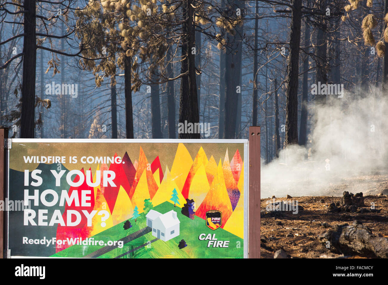 Le Roi incendie qui a détruit 97 717 hectares de la Forêt nationale d'El Dorado, en Californie, USA. Après une longue sécheresse sans précédent de quatre ans, les incendies sont beaucoup plus commun. La plupart de la Californie est en sécheresse exceptionnelle, le plus haut niveau de classification de la sécheresse. 428 000 hectares de terres agricoles ont été retirées de la production en raison du manque d'eau, des milliers de travailleurs agricoles ont perdu leur emploi et un tiers de tous les enfants en Californie se couchent. Banque D'Images