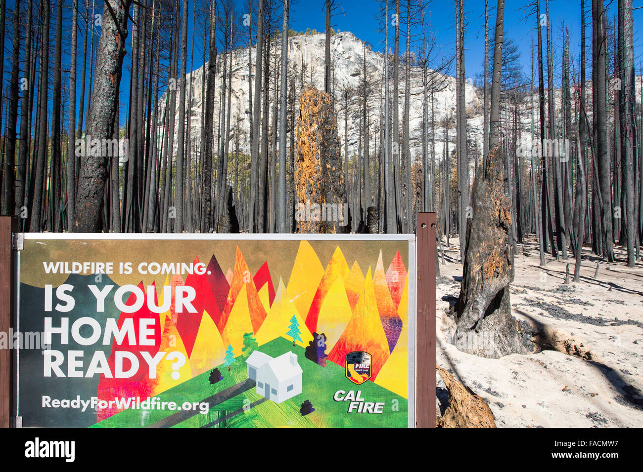 Un feu de forêt détruit une zone de forêt dans la petite vallée de Yosemite dans le Yosemite National Park, California, USA. À la suite Banque D'Images
