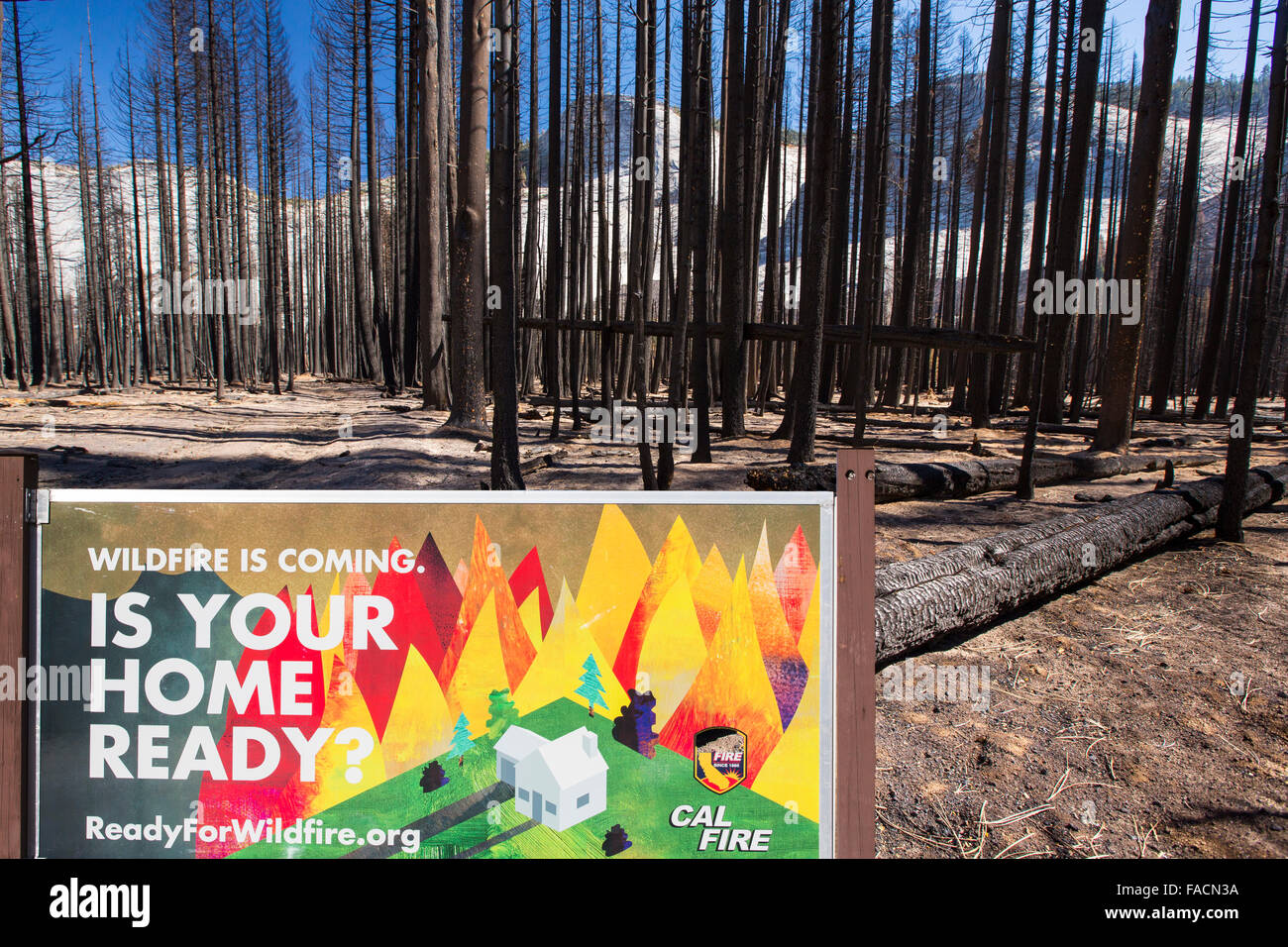 Un feu de forêt détruit une zone de forêt dans la petite vallée de Yosemite dans le Yosemite National Park, California, USA. À la suite Banque D'Images