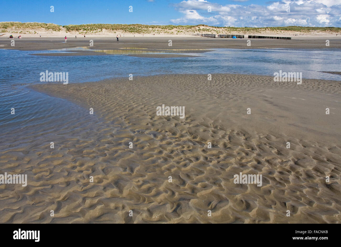 Île d'Ameland, aux Pays-Bas, les dunes. Banque D'Images