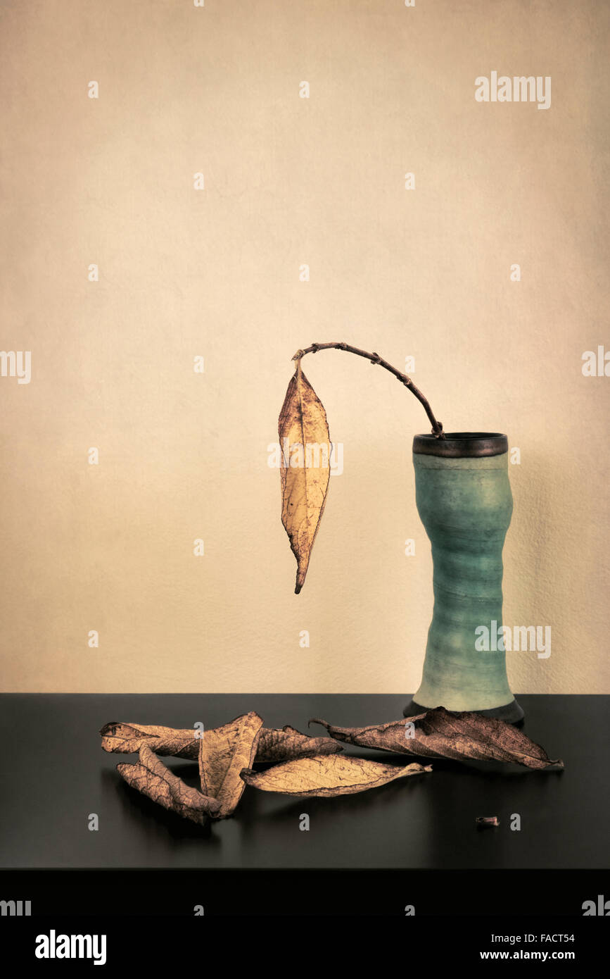 Les feuilles séchées dans un vase avec incrustation de texture Banque D'Images