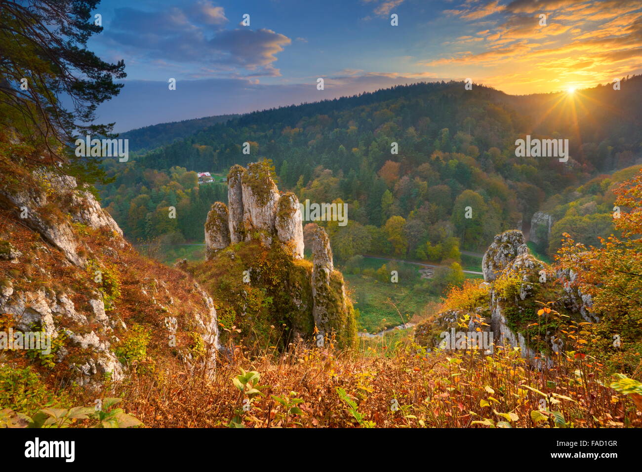 Jura Mountains National Park au coucher du soleil, l'automne de la vallée de Pradnik, Pologne, Europe Banque D'Images