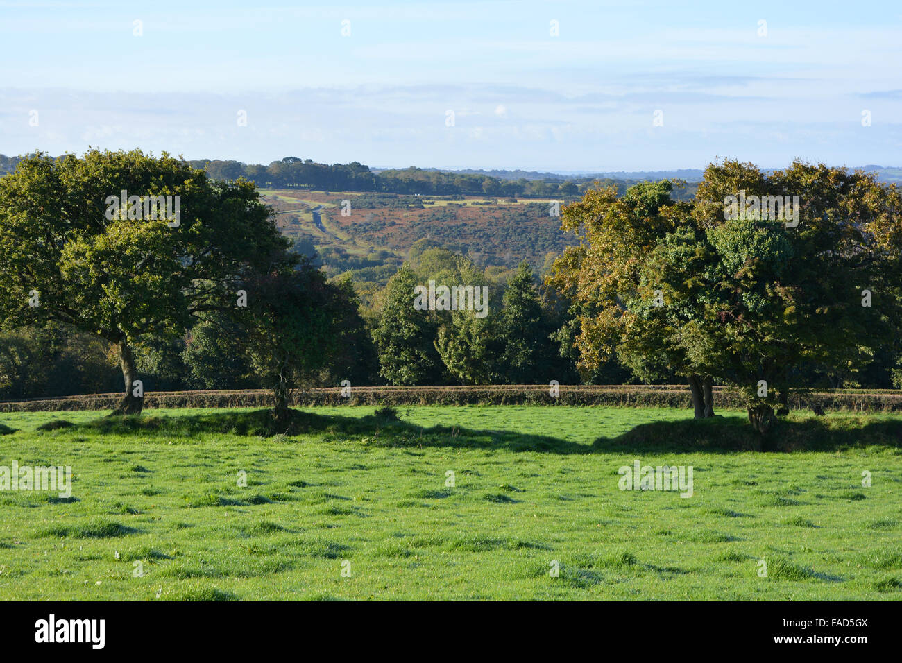 Paysage typique de la campagne anglaise au début de l'automne, près de Tavistock, Devon, Angleterre Banque D'Images