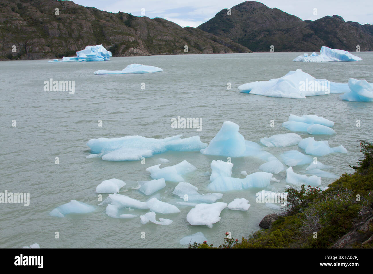 La glace flotte et les icebergs du Glacier Grey dans le lac à Torres del Paine en Patagonie, au Chili. Banque D'Images