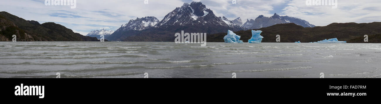 Panorama des icebergs flottant dans Lago de gris, ou gris, le lac en Patagonie, Torres del Paine, Chili. Banque D'Images