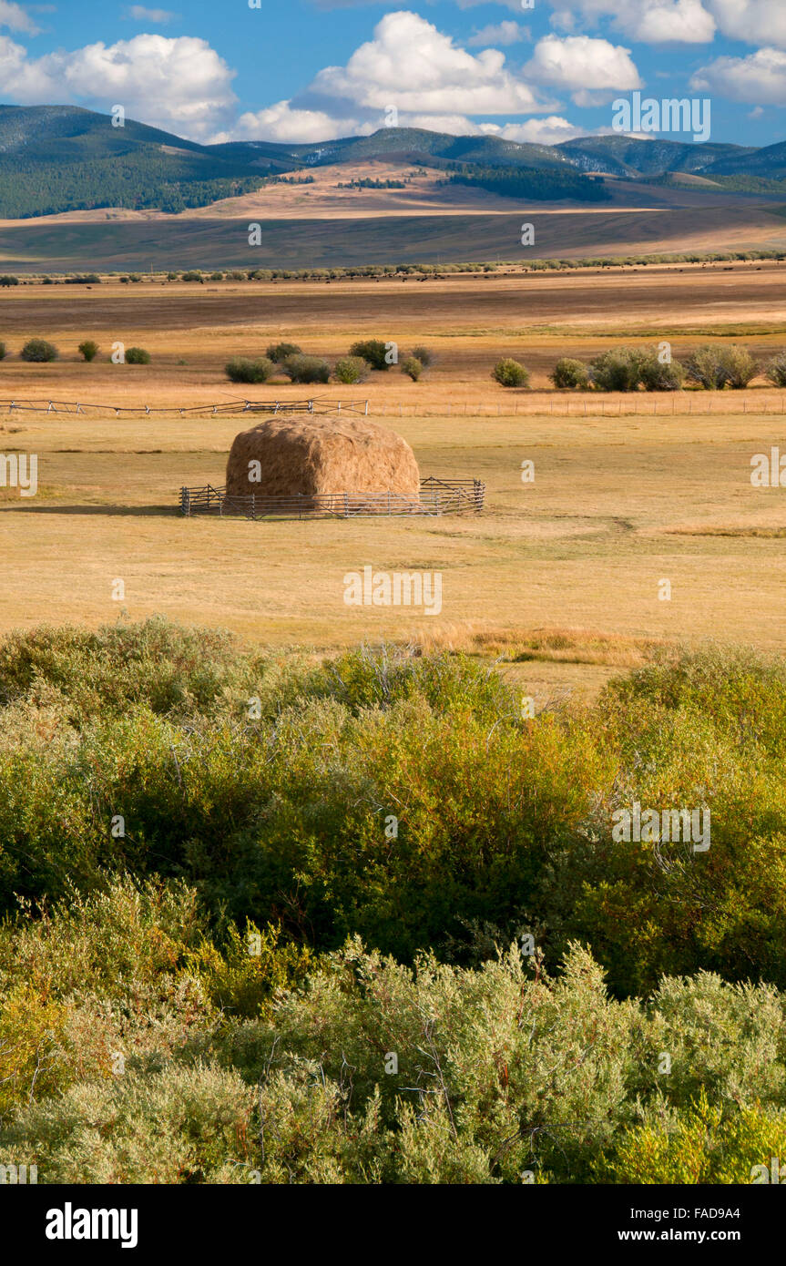 Gros trou River Valley, Beaverhead Comté, Montana Banque D'Images