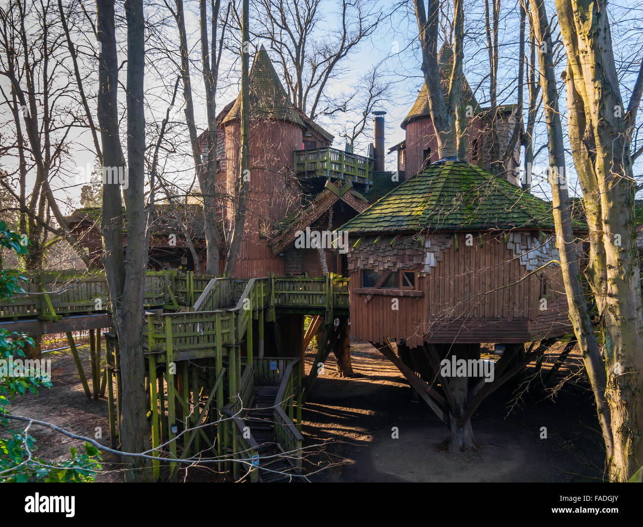 Le Treehouse en château d'Alnwick Garden construit dans un bosquet d'arbres mature lime chambres restaurants et autres installations Banque D'Images