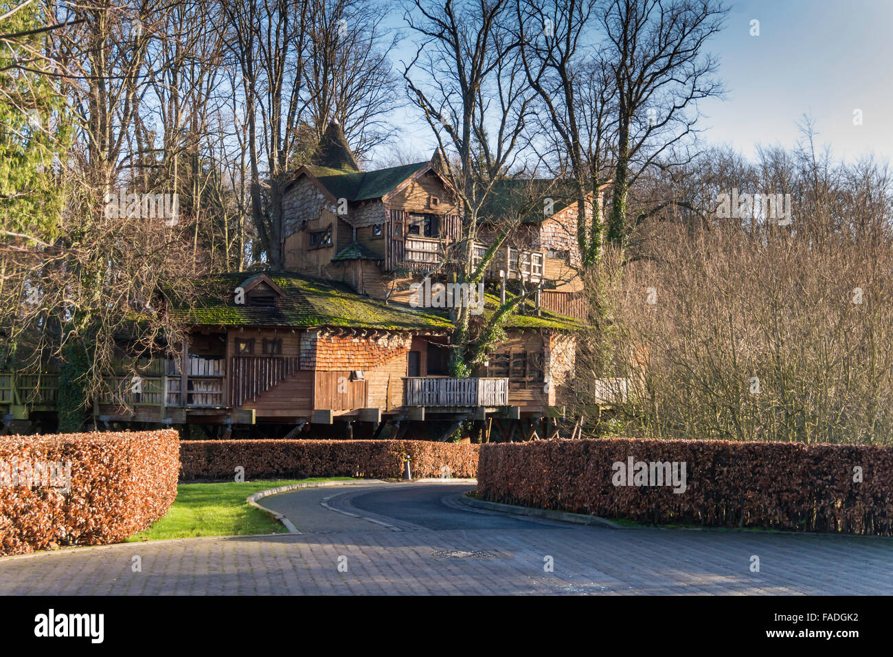 Le Treehouse en château d'Alnwick Garden construit dans un bosquet d'arbres mature lime chambres restaurants et autres installations Banque D'Images