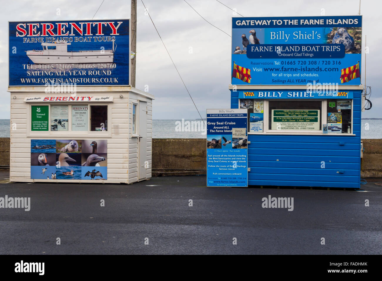 Billetteries signe avec des excursions en bateau vers la publicité voir les phoques et les oiseaux sur les îles Farne Banque D'Images