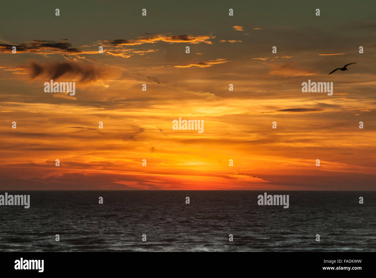 Newlaven, East Sussex, Royaume-Uni. 28 Décembre 2015. Météo au Royaume-Uni : des couleurs étonnantes avant le lever du soleil sur la côte sud. Banque D'Images
