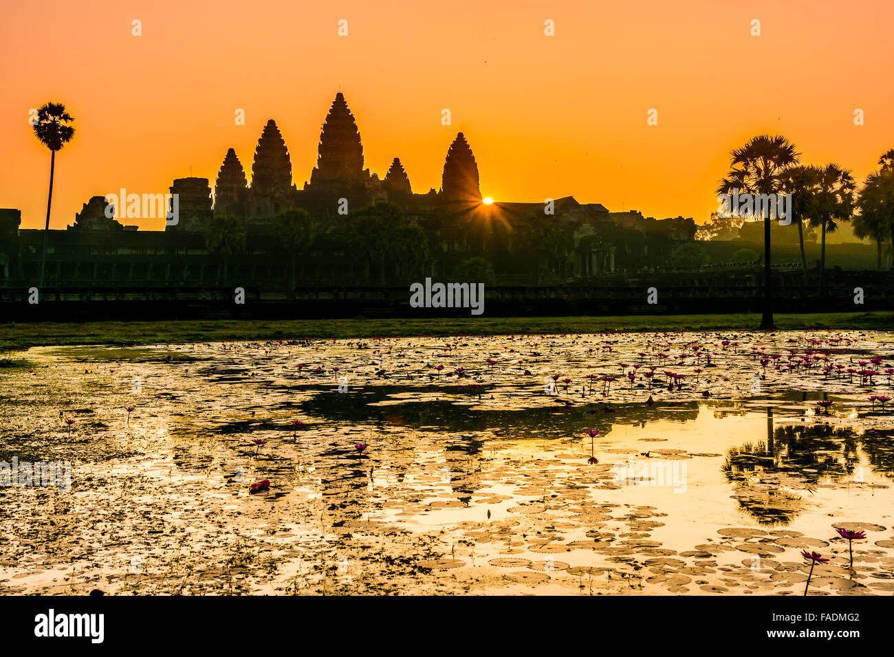 Angkor Wat a été d'abord un Hindou,puis par la suite, un temple bouddhiste au Cambodge et le plus grand dans le religieux monum. wor Banque D'Images