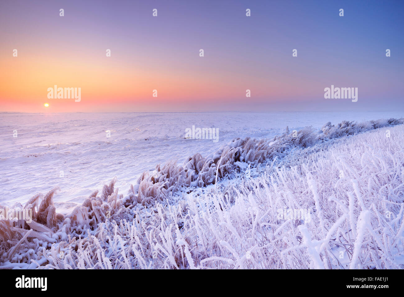 Lever de soleil sur un lac gelé sur un matin froid record aux Pays-Bas. Banque D'Images
