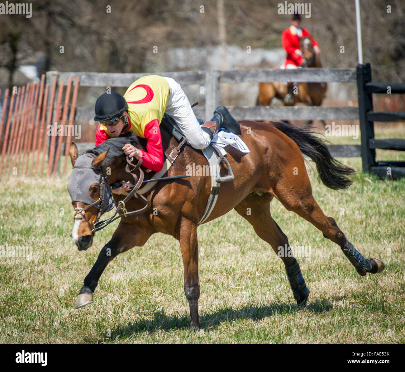 Course de chevaux au Manor Races 2015 Banque D'Images