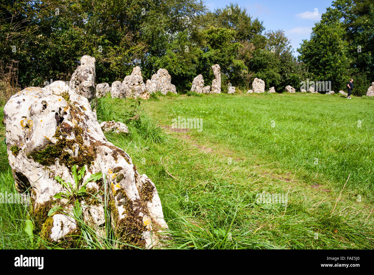 L'Angleterre, l'Oxfordshire, le Rollright stones. La fin du néolithique, âge du bronze, le cercle de pierre de cérémonie, appelée 'les hommes du roi'. La journée, l'été, ciel bleu. Banque D'Images
