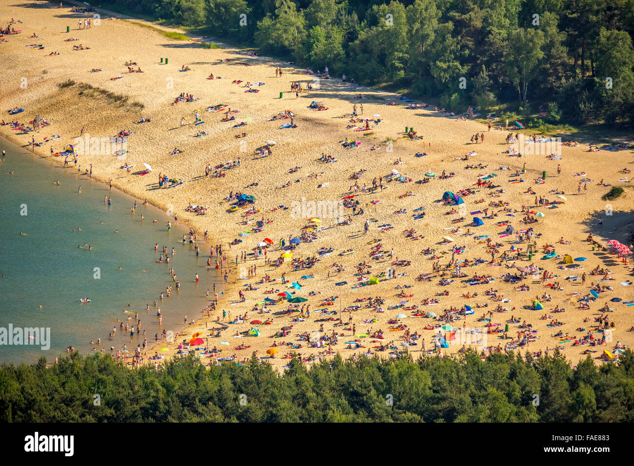 Silbersee II entre Haltern et Dülmen, lac, carrière, d'extraction de sable de quartz par le quartz, la gastronomie des sables mouvants Banque D'Images