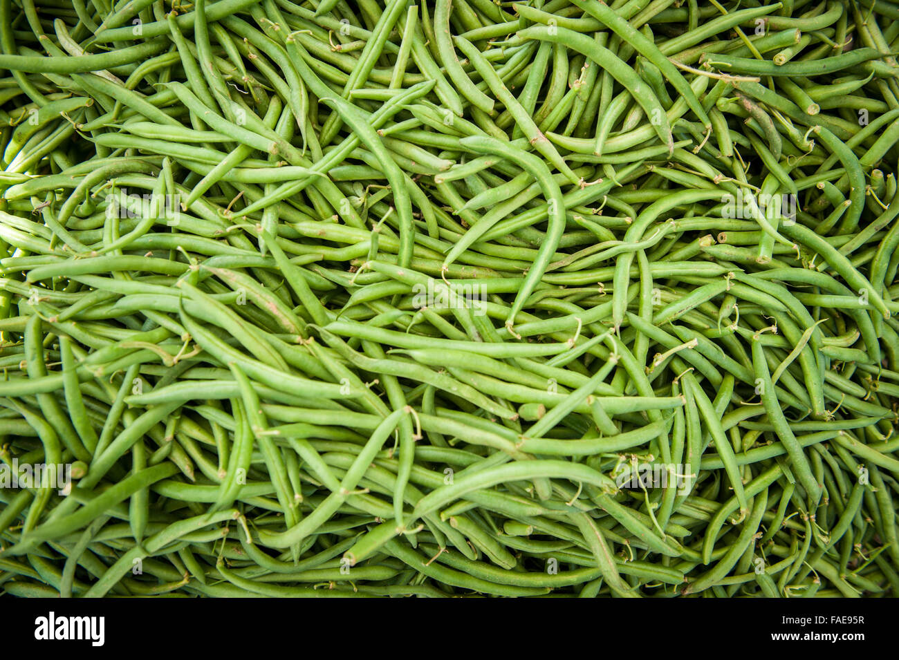 Les haricots frais de bac Banque D'Images