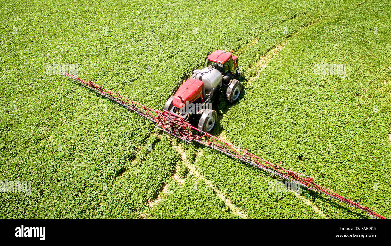 Le tracteur s'apprête à pulvériser une récolte avec des pesticides Banque D'Images