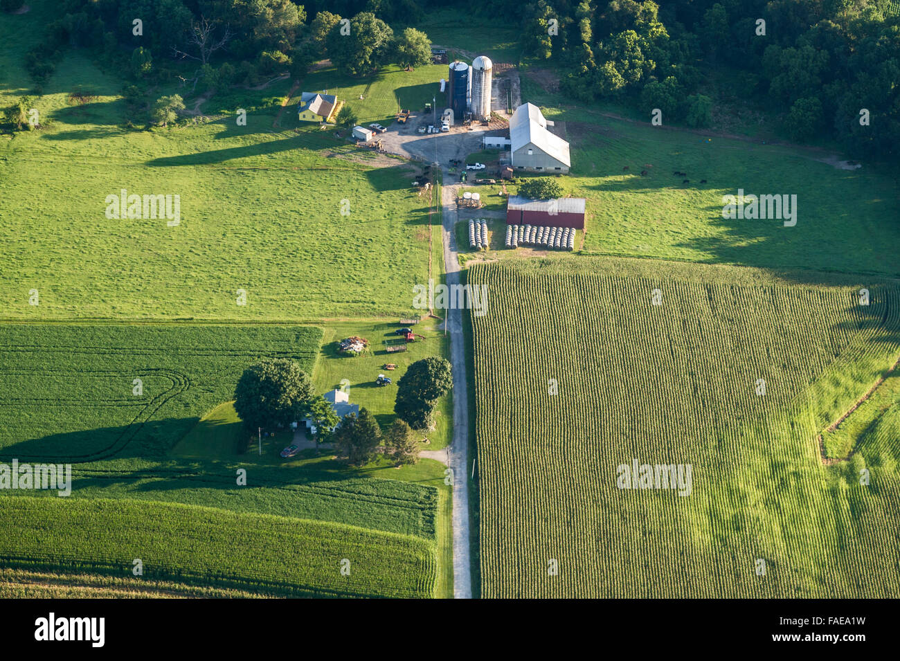 Vue aérienne des terres agricoles dans le comté de Harford, Maryland Banque D'Images
