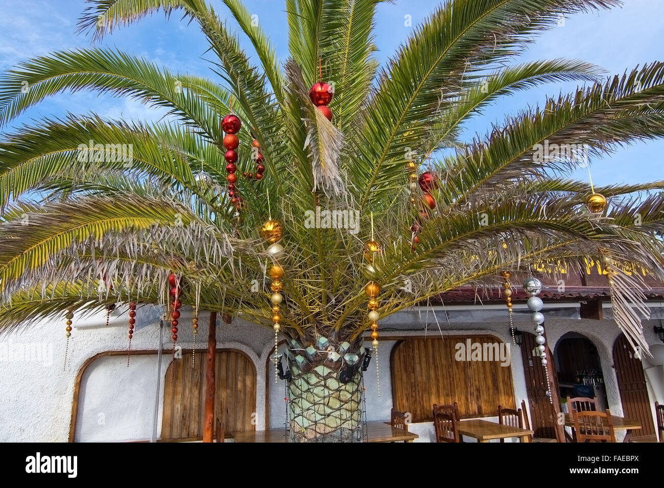 Décoration de Noël Boules avec palmier à Ibiza, Iles Baléares, Espagne Banque D'Images
