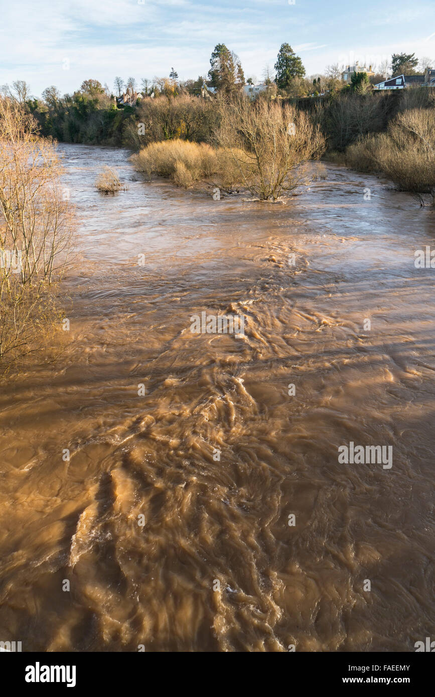 Kelso, Ecosse, crue de la Tweed le 6 décembre 2015, la première montée d'un niveau d'eau propices aux inondations d'hiver Banque D'Images