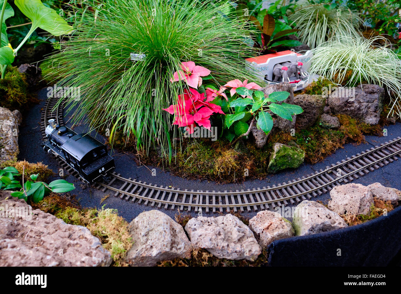 SAN FRANCISCO, CA - le 10 décembre 2015 : Conservatoire des fleurs pour l'Exposition universelle d'Amérique Pan exposition au Golden Gate Park. Banque D'Images